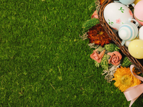 {{brizy_dc_image_alt entityId=